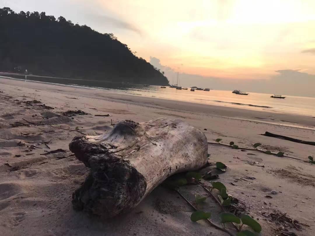 Juara Bay Resort Pulau Tioman Bagian luar foto